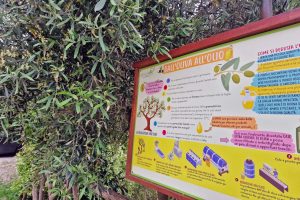 Nonno Luigino Nonno Luigino