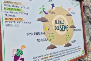 Nonno Luigino Nonno Luigino