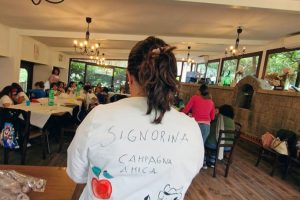 Nonno Luigino Nonno Luigino