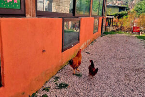 Nonno Luigino Nonno Luigino