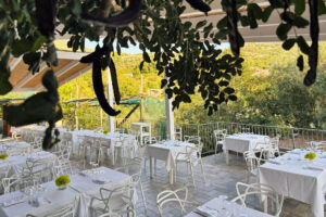 Agriturismo Nonno Luigino